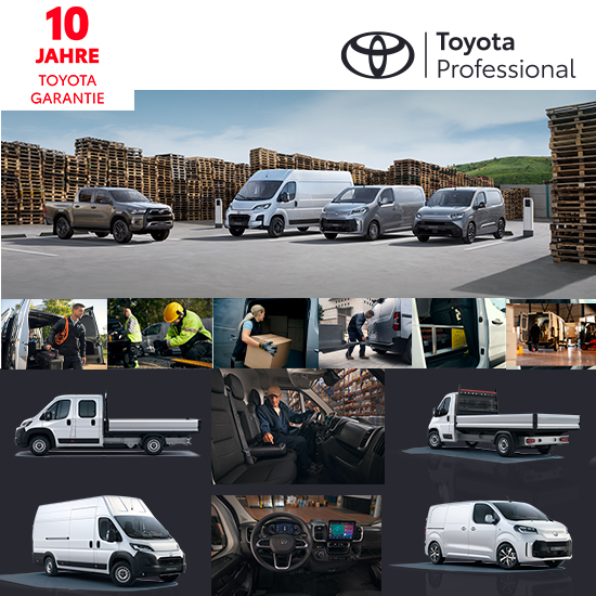 Toyota Professional